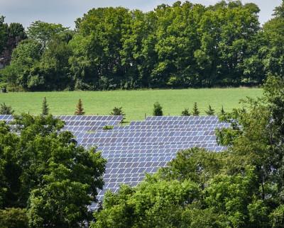 Susquehanna's 14-acre solar array.